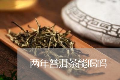 两年普洱茶能喝吗/2023033001713