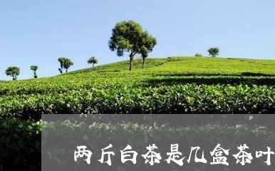 两斤白茶是几盒茶叶呀图片/2023033114958