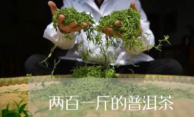 两百一斤的普洱茶/2023033076047