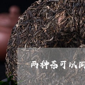 两种茶可以同时喝吗/2023041449583