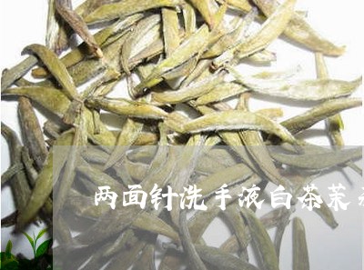 两面针洗手液白茶茉莉测评/2023033142816