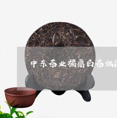 中东茶业福鼎白茶做法视频/2023033177582