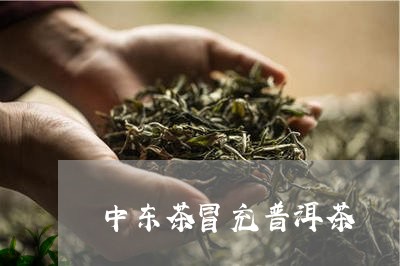 中东茶冒充普洱茶/2023041259794