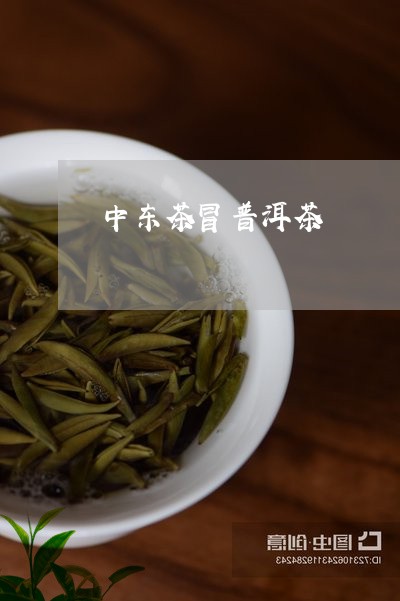 中东茶冒普洱茶/2023031723904