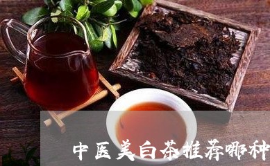 中医美白茶推荐哪种好一点/2023033114949