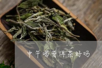 中午喝普洱茶好吗/2023031618150