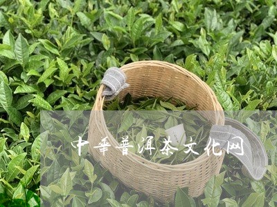 中华普洱茶文化网/2023032906169