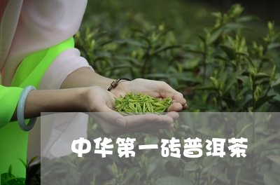 中华第一砖普洱茶/2023041306284