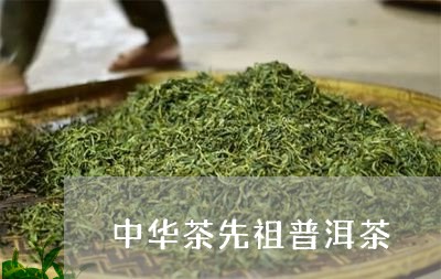 中华茶先祖普洱茶/2023041285949