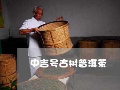 中吉号古树普洱茶/2023033182615