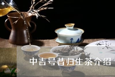 中吉号昔归生茶介绍/2023032260682