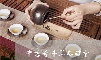 中吉号普洱茶销量/2023040116060