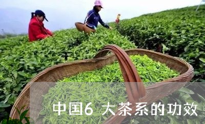 中国6大茶系的功效/2023041645081