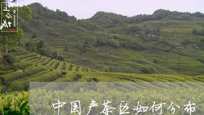 中国产茶区如何分布/2023041673816