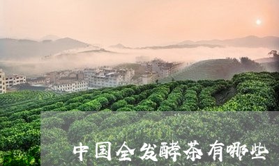 中国全发酵茶有哪些/2023041519492