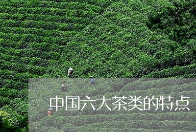 中国六大茶类的特点/2023032140470