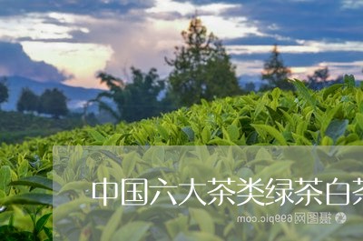 中国六大茶类绿茶白茶黄茶/2023040198595