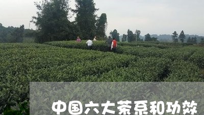 中国六大茶系和功效/2023032003950