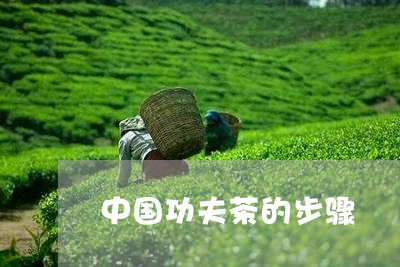 中国功夫茶的步骤/2023032404039