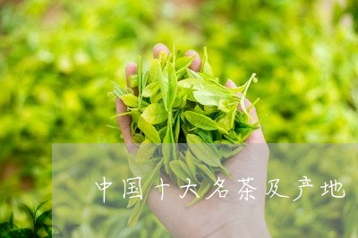 中国十大名茶及产地/2023032140814