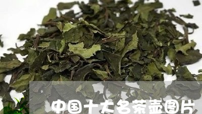 中国十大名茶壶图片/2023032148582