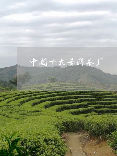 中国十大普洱茶厂/2023041319614