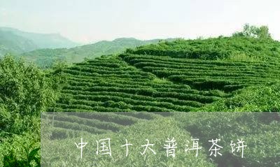 中国十大普洱茶饼/2023040148278