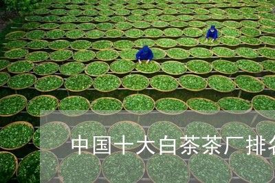 中国十大白茶茶厂排名图片/2023040138692