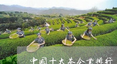 中国十大茶企业排行/2023041784929