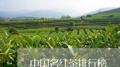 中国名红茶排行榜/2023032329604