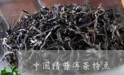 中国情普洱茶特点/2023041317271