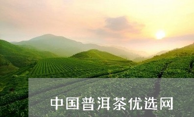 中国普洱茶优选网/2023041219382