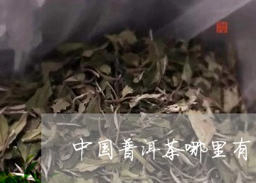 中国普洱茶哪里有/2023041037271