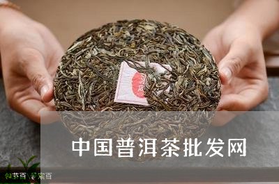 中国普洱茶批发网/2023041465584