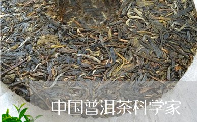 中国普洱茶科学家/2023041320671