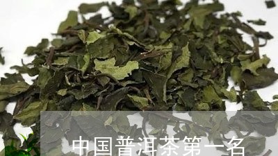 中国普洱茶第一名/2023033011625