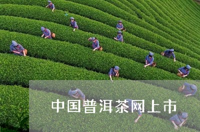 中国普洱茶网上市/2023041015726