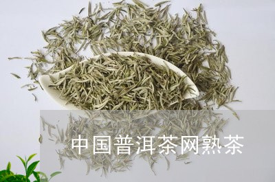 中国普洱茶网熟茶/2023041145058