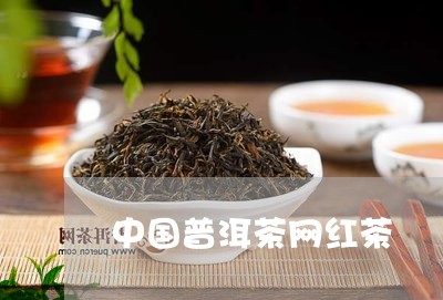 中国普洱茶网红茶/2023040993147