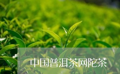 中国普洱茶网陀茶/2023041102016