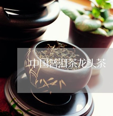 中国普洱茶龙头茶/2023041257162