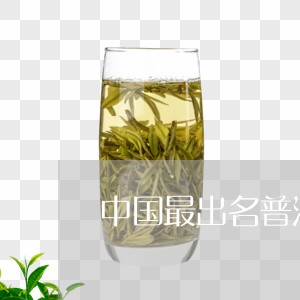 中国最出名普洱茶/2023041094939