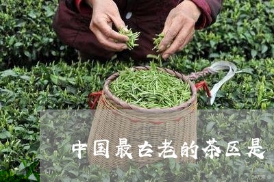 中国最古老的茶区是/2023041692504