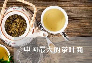 中国最大的茶叶商/2023032555403