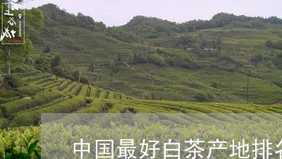 中国最好白茶产地排名第一/2023040179603