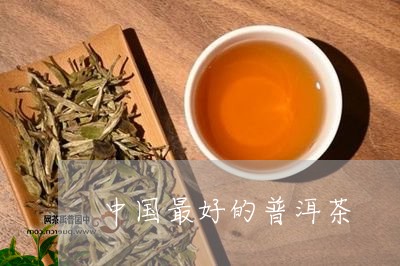 中国最好的普洱茶/2023041396049