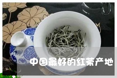 中国最好的红茶产地/2023041536470