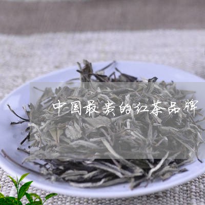 中国最贵的红茶品牌/2023031925048