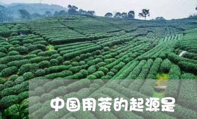 中国用茶的起源是/2023032532714