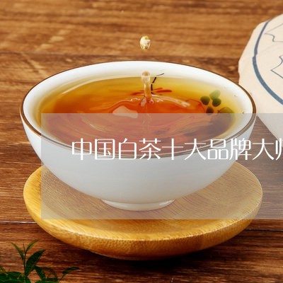 中国白茶十大品牌大师白茶/2023040191795